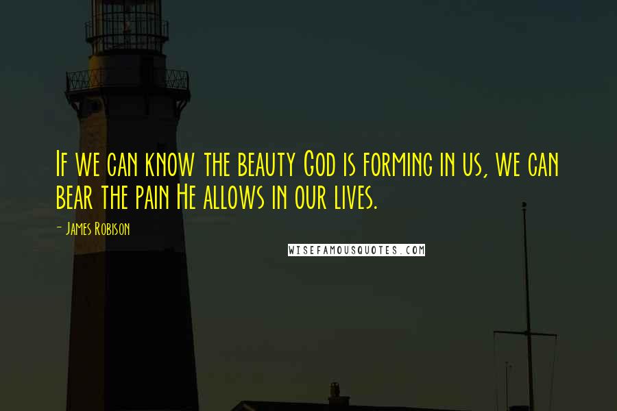 James Robison Quotes: If we can know the beauty God is forming in us, we can bear the pain He allows in our lives.