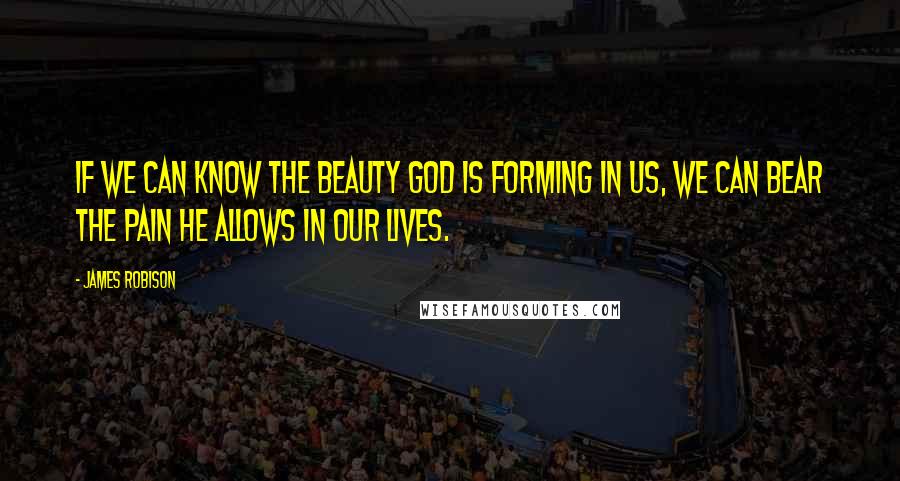 James Robison Quotes: If we can know the beauty God is forming in us, we can bear the pain He allows in our lives.