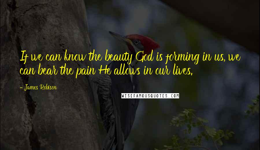 James Robison Quotes: If we can know the beauty God is forming in us, we can bear the pain He allows in our lives.