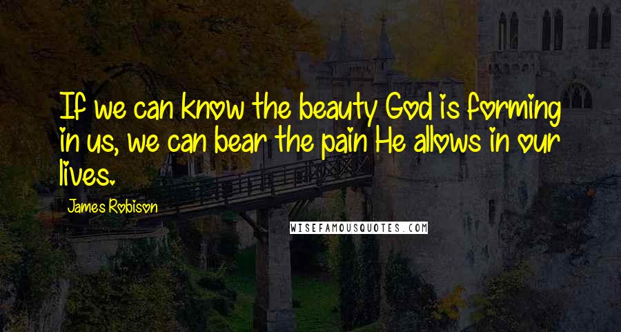 James Robison Quotes: If we can know the beauty God is forming in us, we can bear the pain He allows in our lives.