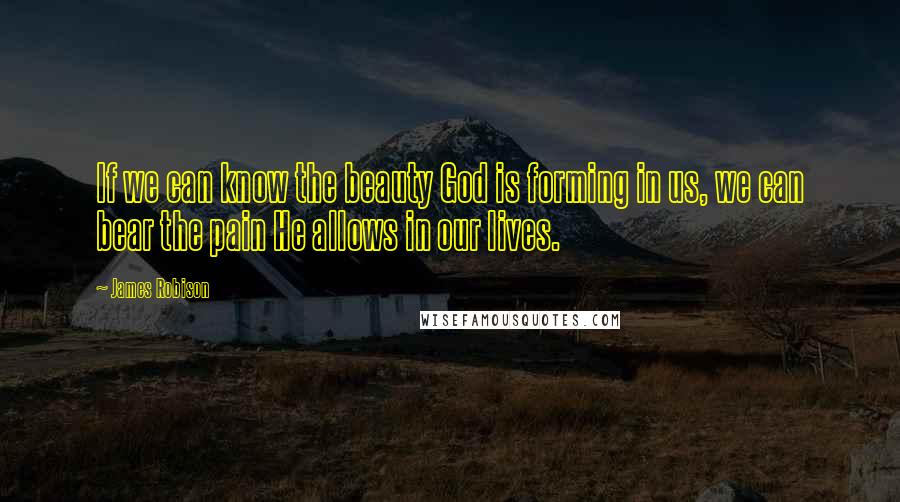 James Robison Quotes: If we can know the beauty God is forming in us, we can bear the pain He allows in our lives.