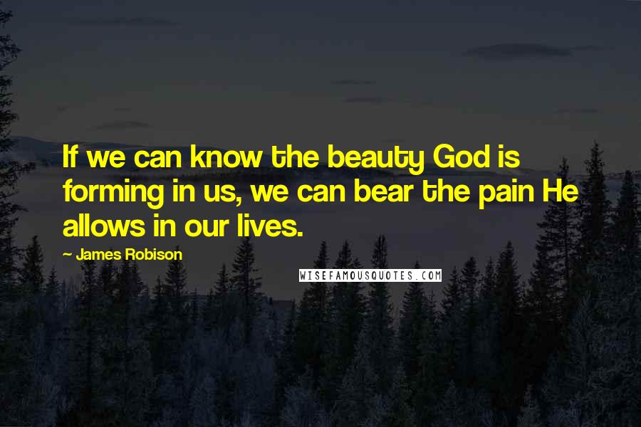 James Robison Quotes: If we can know the beauty God is forming in us, we can bear the pain He allows in our lives.