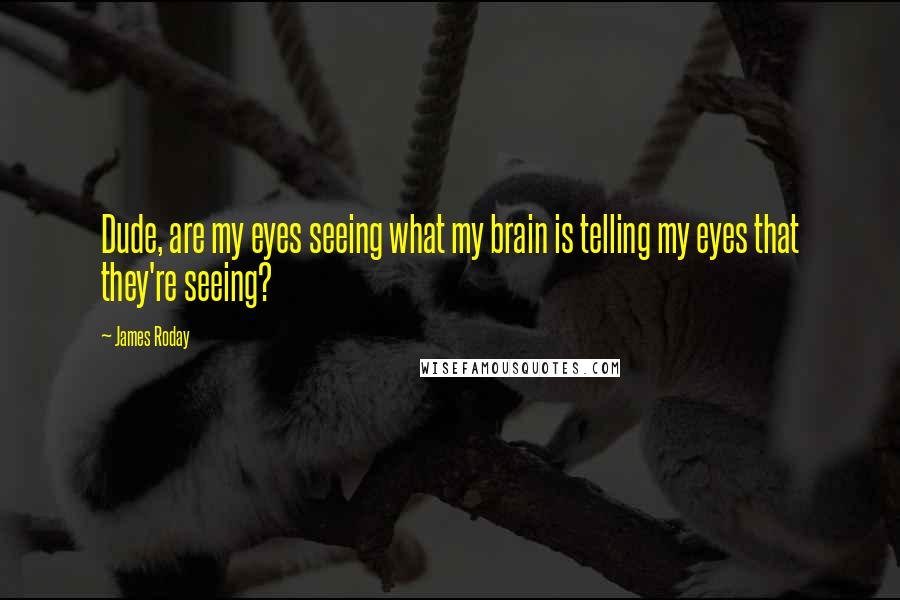 James Roday Quotes: Dude, are my eyes seeing what my brain is telling my eyes that they're seeing?