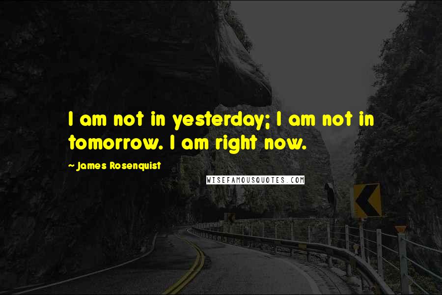 James Rosenquist Quotes: I am not in yesterday; I am not in tomorrow. I am right now.