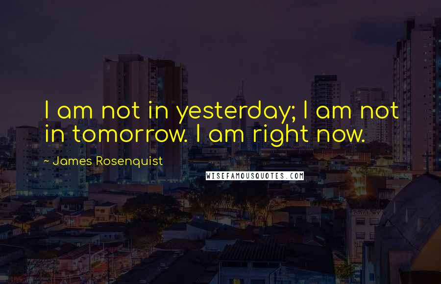 James Rosenquist Quotes: I am not in yesterday; I am not in tomorrow. I am right now.