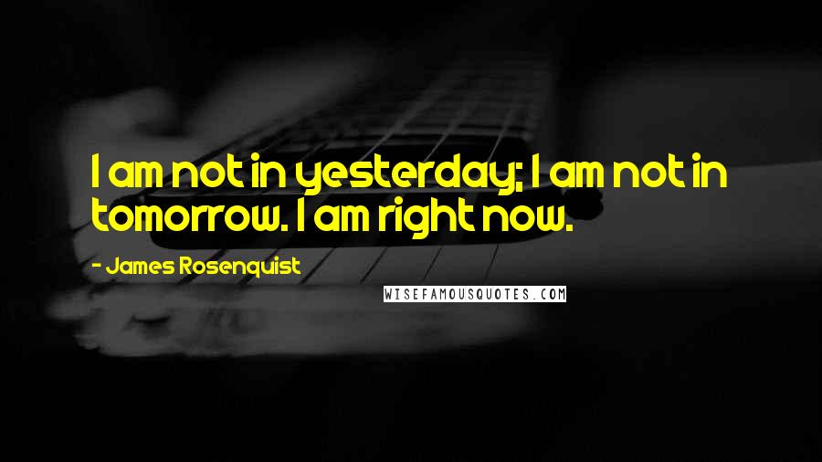 James Rosenquist Quotes: I am not in yesterday; I am not in tomorrow. I am right now.