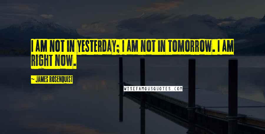 James Rosenquist Quotes: I am not in yesterday; I am not in tomorrow. I am right now.