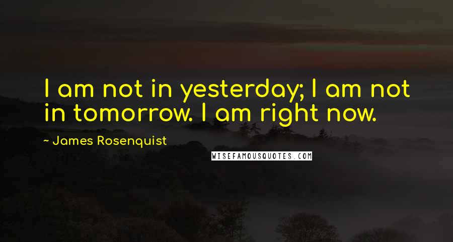 James Rosenquist Quotes: I am not in yesterday; I am not in tomorrow. I am right now.