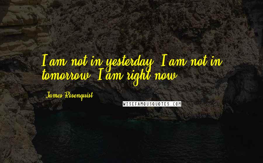 James Rosenquist Quotes: I am not in yesterday; I am not in tomorrow. I am right now.