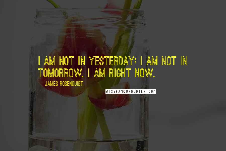 James Rosenquist Quotes: I am not in yesterday; I am not in tomorrow. I am right now.