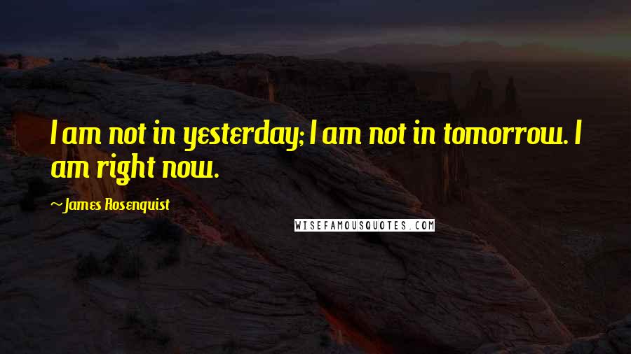 James Rosenquist Quotes: I am not in yesterday; I am not in tomorrow. I am right now.