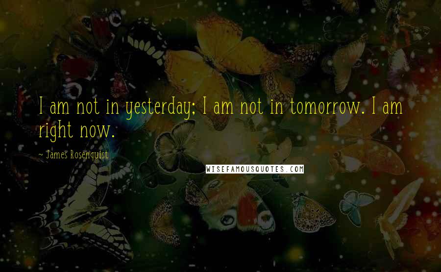 James Rosenquist Quotes: I am not in yesterday; I am not in tomorrow. I am right now.