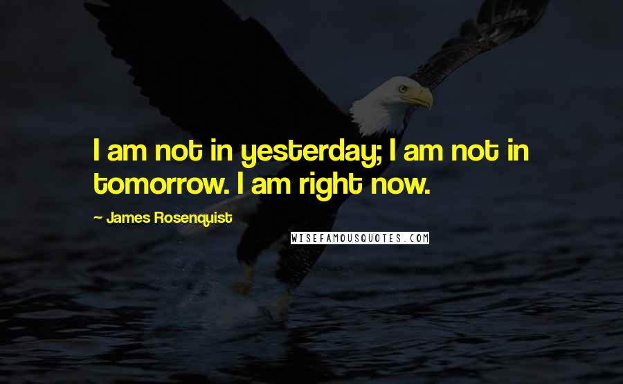 James Rosenquist Quotes: I am not in yesterday; I am not in tomorrow. I am right now.