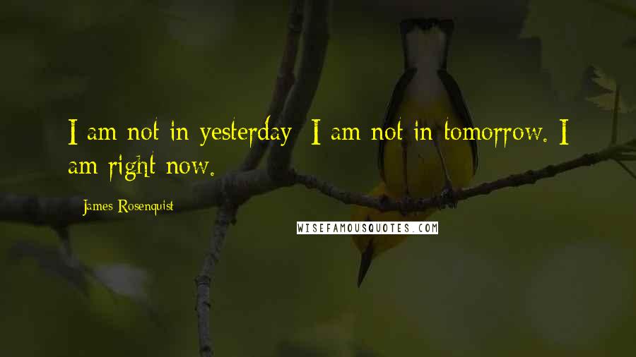 James Rosenquist Quotes: I am not in yesterday; I am not in tomorrow. I am right now.