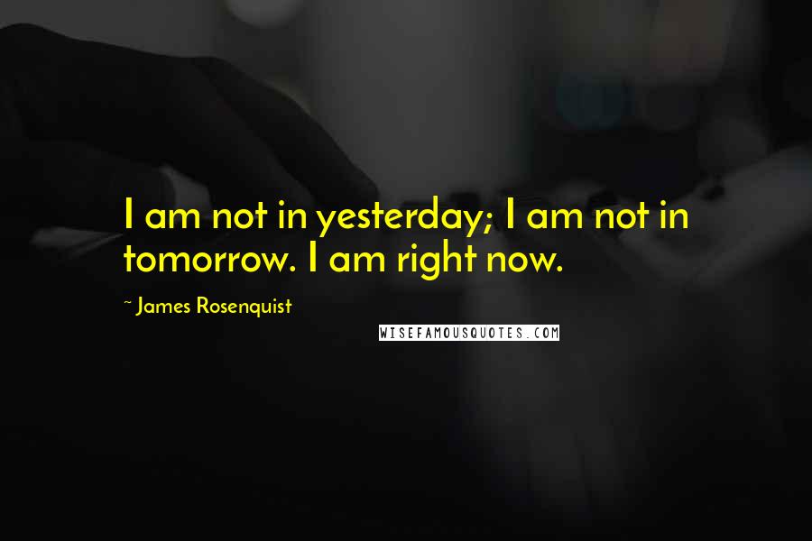 James Rosenquist Quotes: I am not in yesterday; I am not in tomorrow. I am right now.