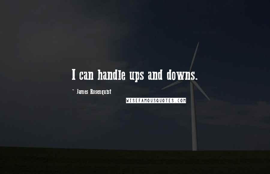 James Rosenquist Quotes: I can handle ups and downs.