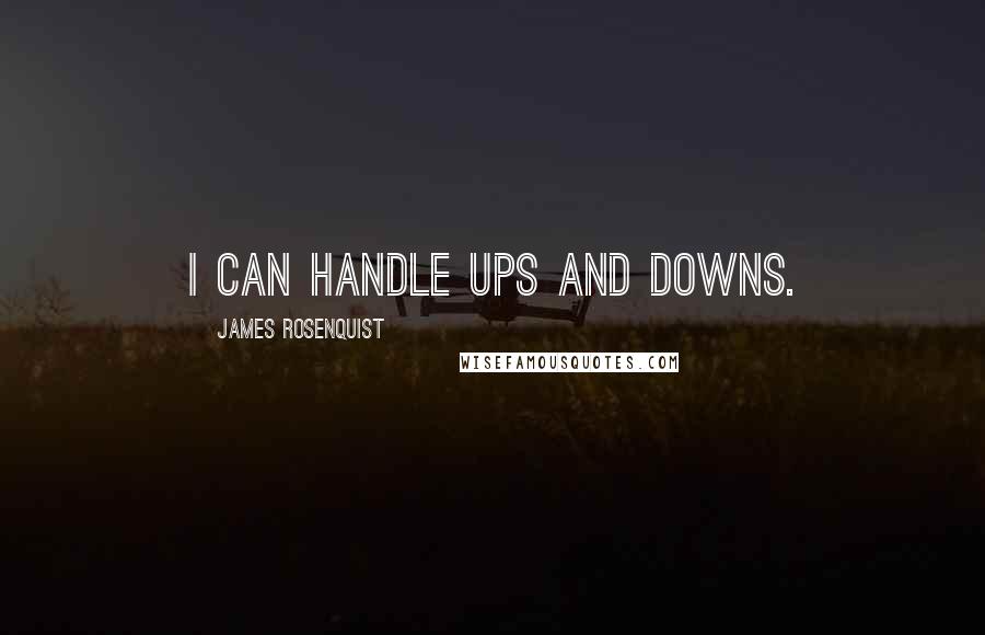 James Rosenquist Quotes: I can handle ups and downs.