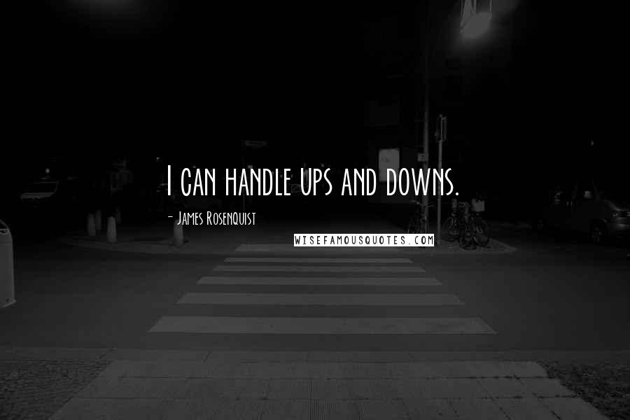 James Rosenquist Quotes: I can handle ups and downs.
