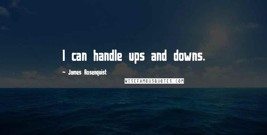 James Rosenquist Quotes: I can handle ups and downs.