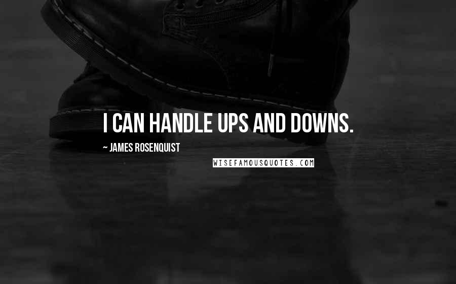 James Rosenquist Quotes: I can handle ups and downs.