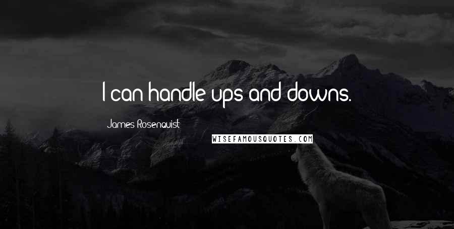 James Rosenquist Quotes: I can handle ups and downs.