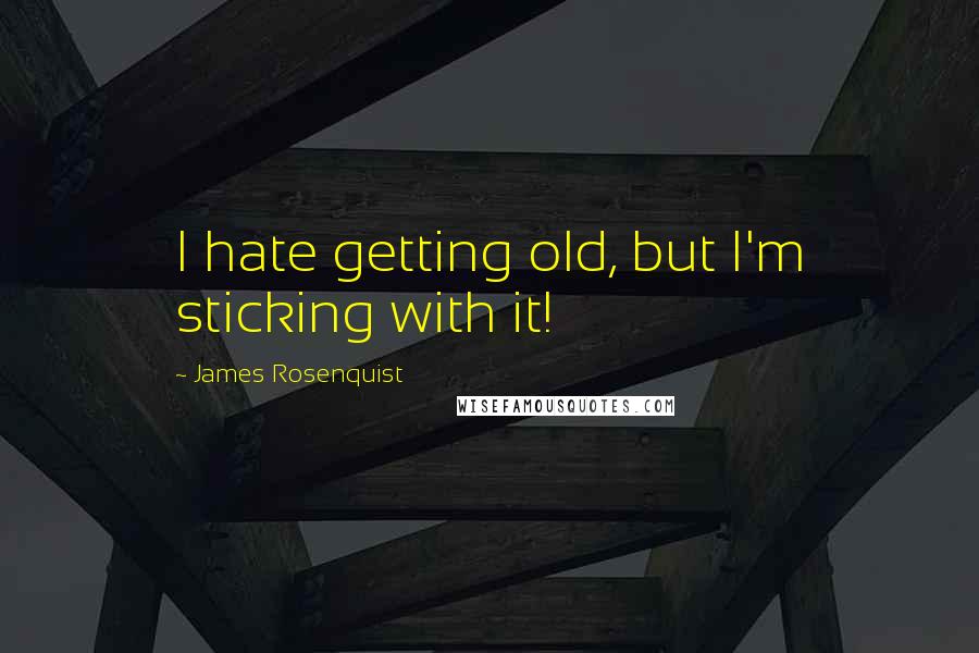 James Rosenquist Quotes: I hate getting old, but I'm sticking with it!