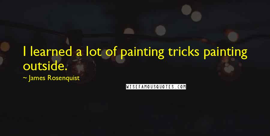 James Rosenquist Quotes: I learned a lot of painting tricks painting outside.