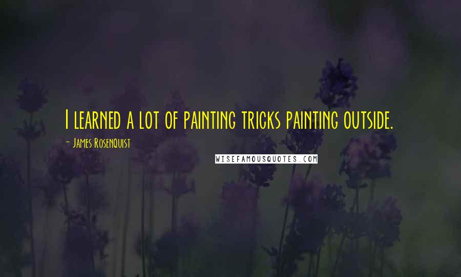 James Rosenquist Quotes: I learned a lot of painting tricks painting outside.