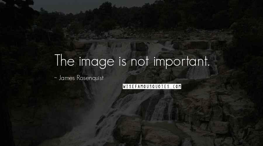 James Rosenquist Quotes: The image is not important.