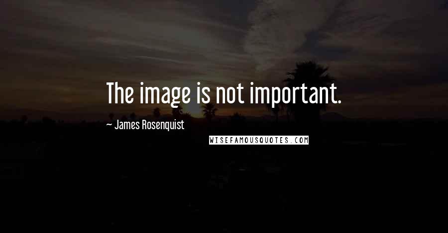 James Rosenquist Quotes: The image is not important.