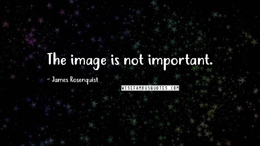 James Rosenquist Quotes: The image is not important.