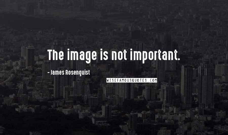 James Rosenquist Quotes: The image is not important.