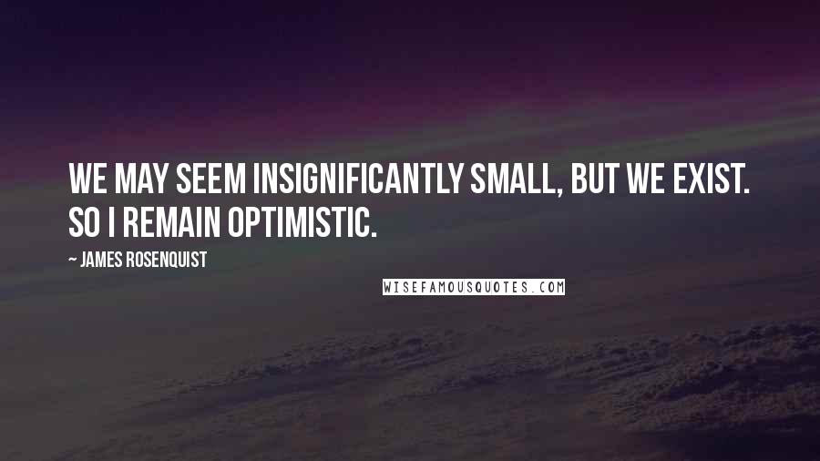 James Rosenquist Quotes: We may seem insignificantly small, but we exist. So I remain optimistic.