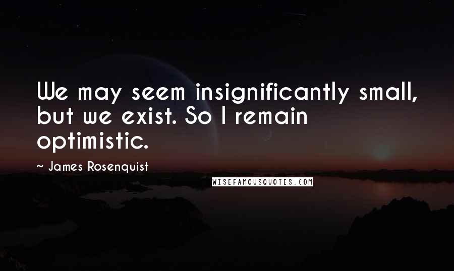 James Rosenquist Quotes: We may seem insignificantly small, but we exist. So I remain optimistic.