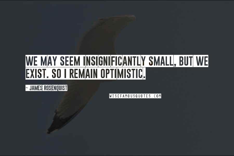 James Rosenquist Quotes: We may seem insignificantly small, but we exist. So I remain optimistic.