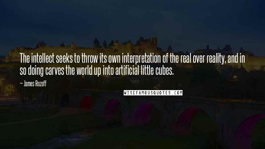 James Rozoff Quotes: The intellect seeks to throw its own interpretation of the real over reality, and in so doing carves the world up into artificial little cubes.