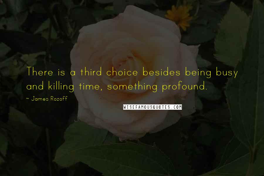 James Rozoff Quotes: There is a third choice besides being busy and killing time, something profound.
