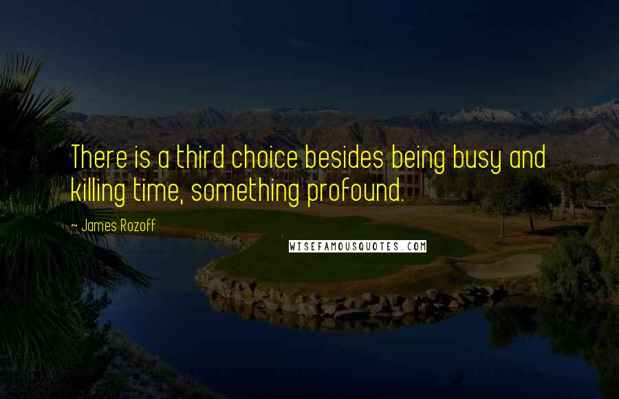 James Rozoff Quotes: There is a third choice besides being busy and killing time, something profound.