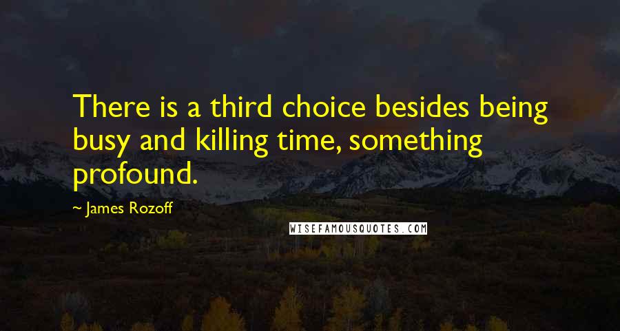 James Rozoff Quotes: There is a third choice besides being busy and killing time, something profound.