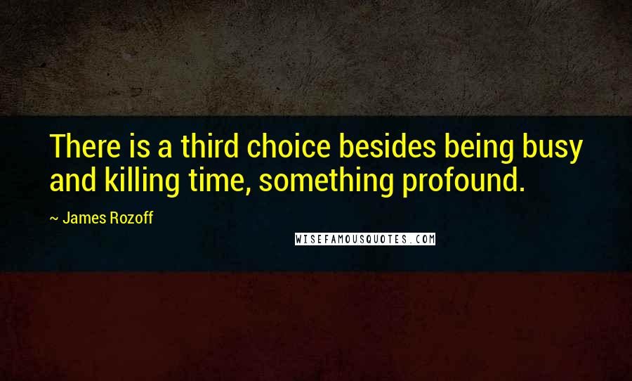 James Rozoff Quotes: There is a third choice besides being busy and killing time, something profound.