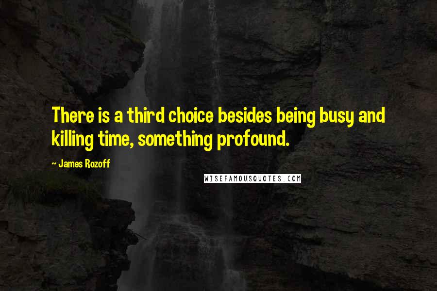 James Rozoff Quotes: There is a third choice besides being busy and killing time, something profound.