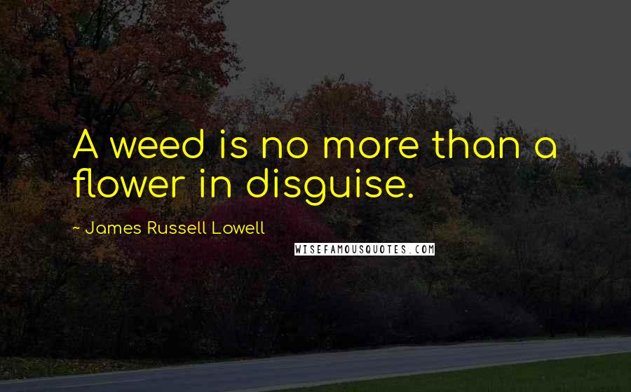 James Russell Lowell Quotes: A weed is no more than a flower in disguise.