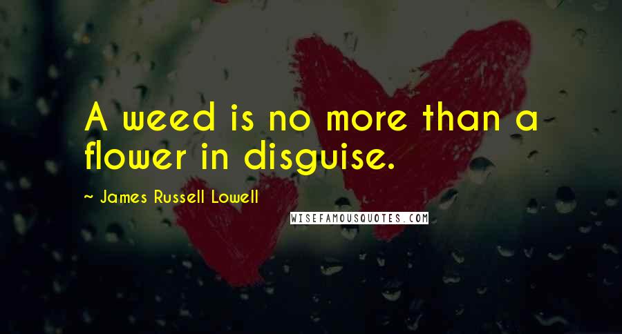 James Russell Lowell Quotes: A weed is no more than a flower in disguise.
