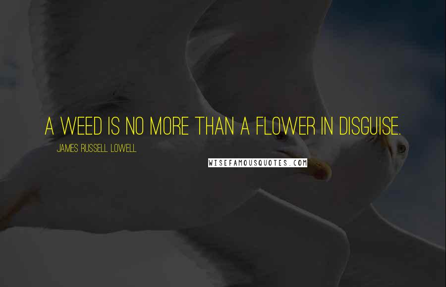 James Russell Lowell Quotes: A weed is no more than a flower in disguise.