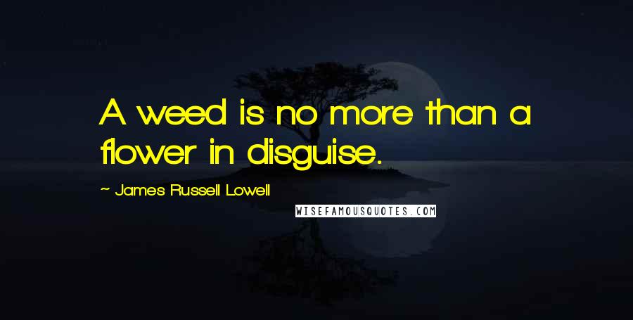 James Russell Lowell Quotes: A weed is no more than a flower in disguise.