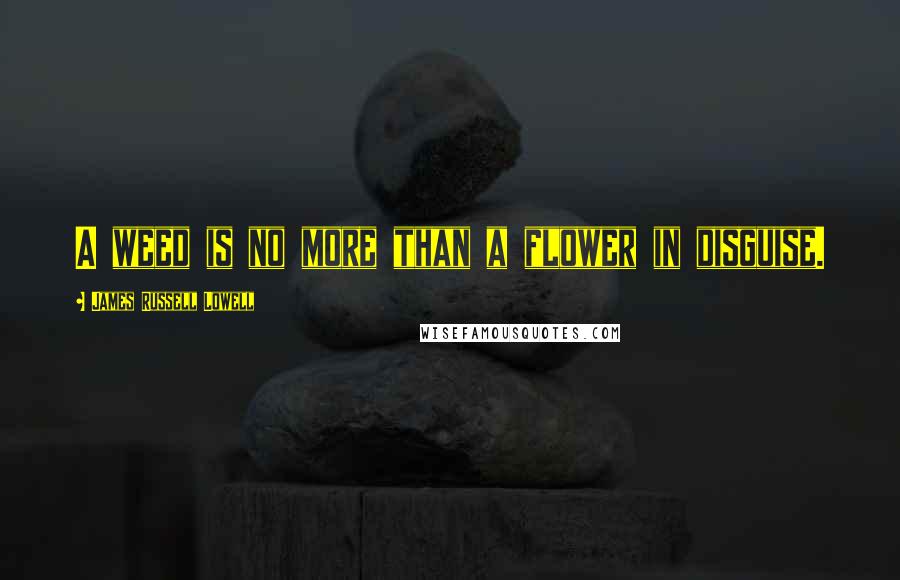 James Russell Lowell Quotes: A weed is no more than a flower in disguise.