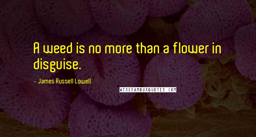 James Russell Lowell Quotes: A weed is no more than a flower in disguise.