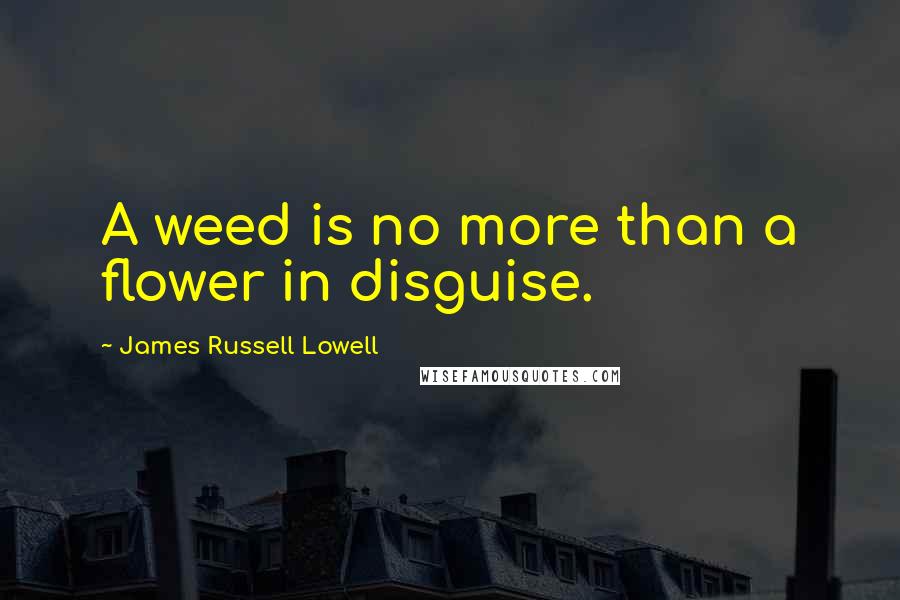 James Russell Lowell Quotes: A weed is no more than a flower in disguise.