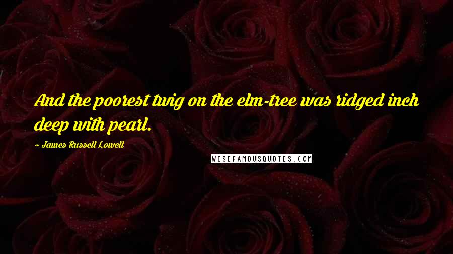 James Russell Lowell Quotes: And the poorest twig on the elm-tree was ridged inch deep with pearl.