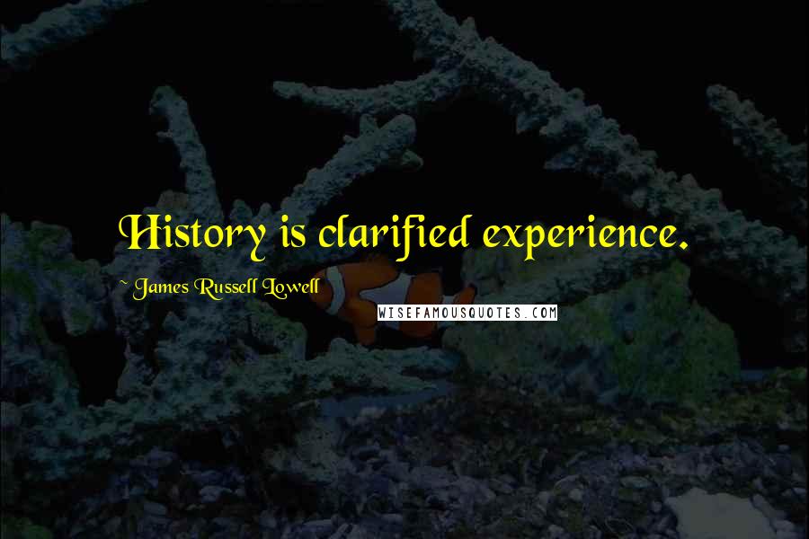 James Russell Lowell Quotes: History is clarified experience.